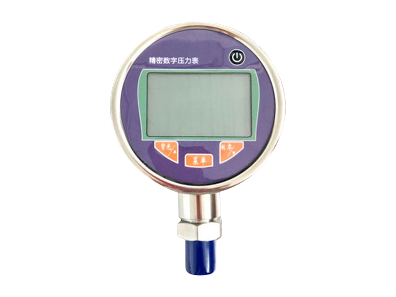 ZT-SY08-數(shù)字壓力表.jpg